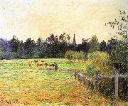 Camille Pissarro Cattle oil painting artist